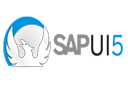 SAP UI5 Development Company